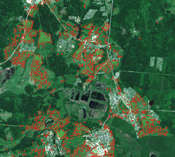 Карта с распознанным борщевиком Сосновского