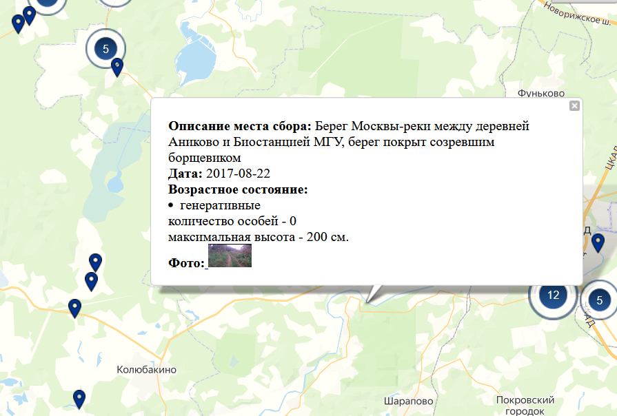 Карта РИВР - очаги борщевика