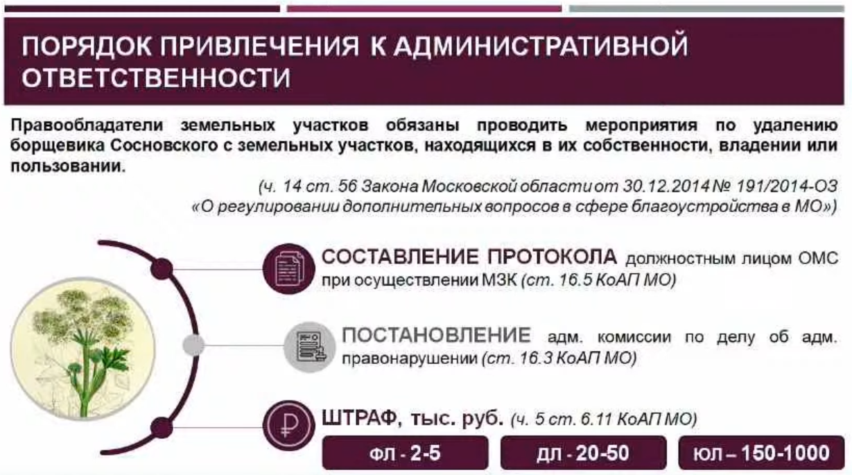 Алгоритм выписывания штрафов