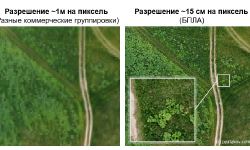 Featured image of post Находим нарушителей на миллионы рублей при помощи борщевика и Python