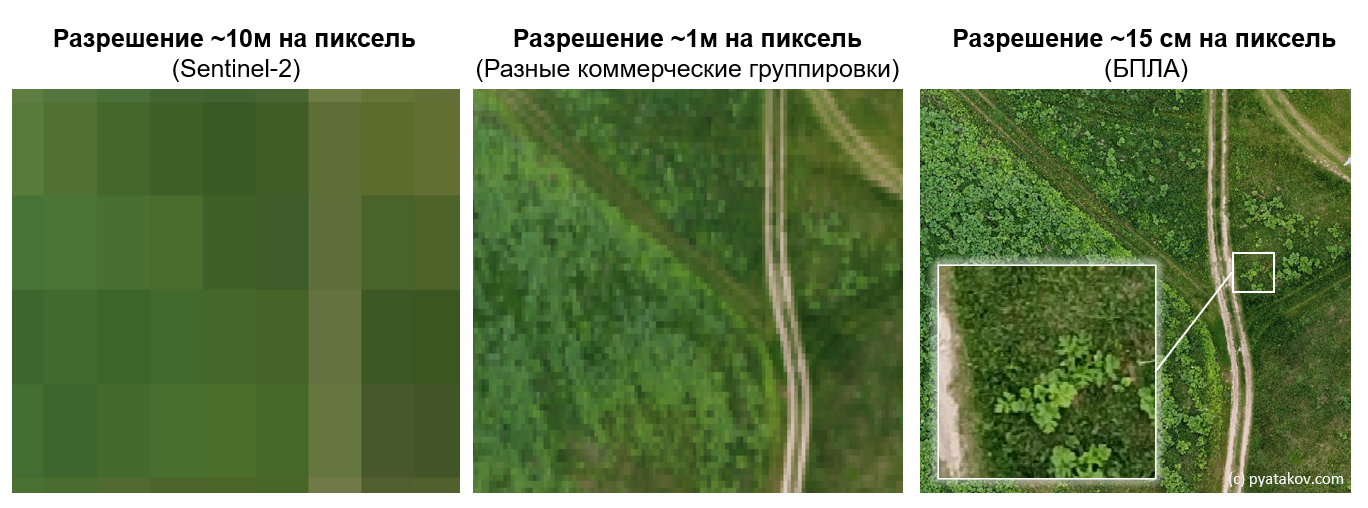 Борщевик Сосновского на снимках со спутников и БПЛА